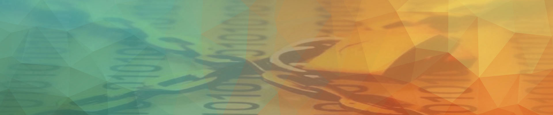 攜手合作伙伴，共建數據安全生態