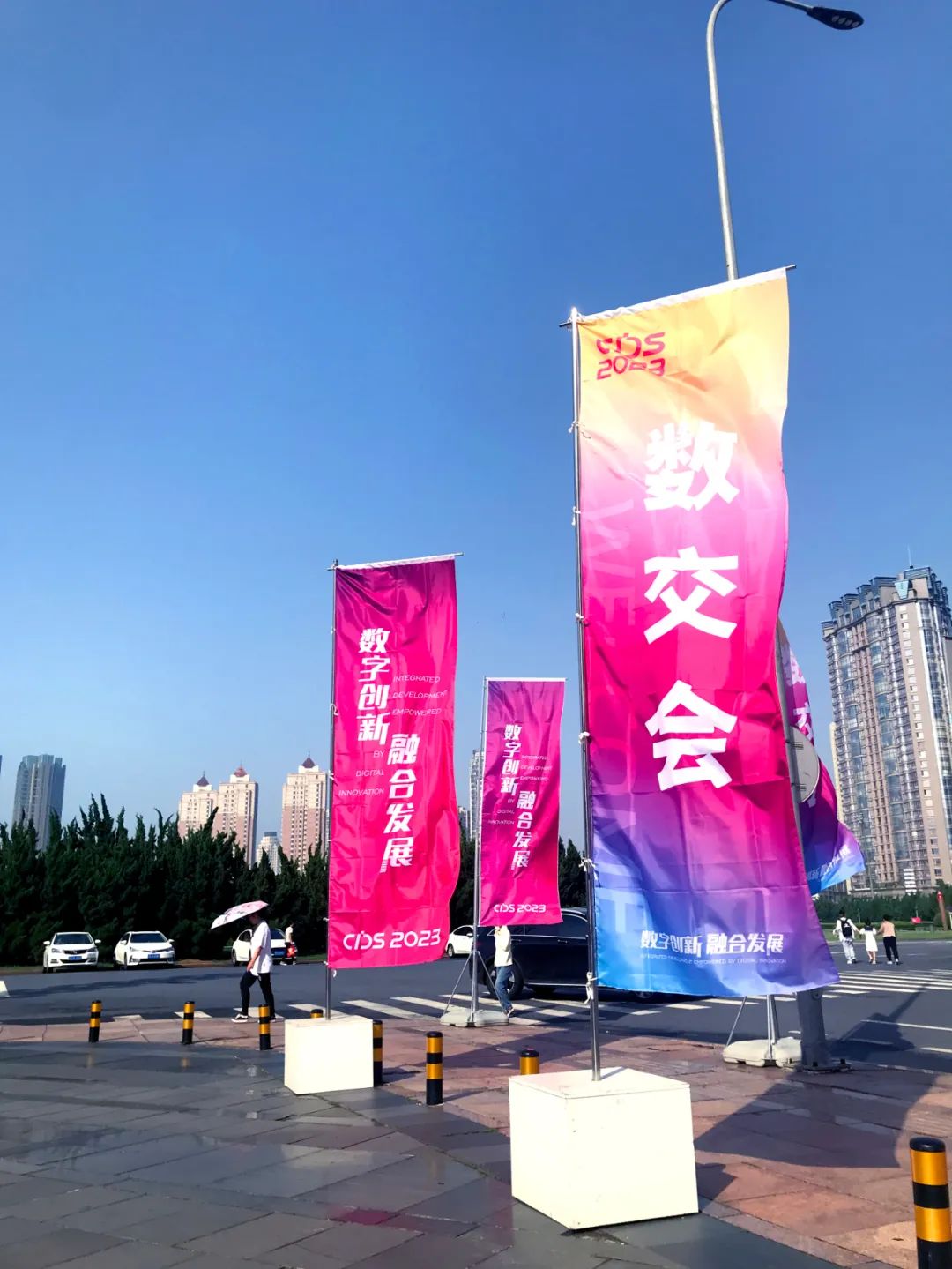 1689065782818034.jpg 5.jpg